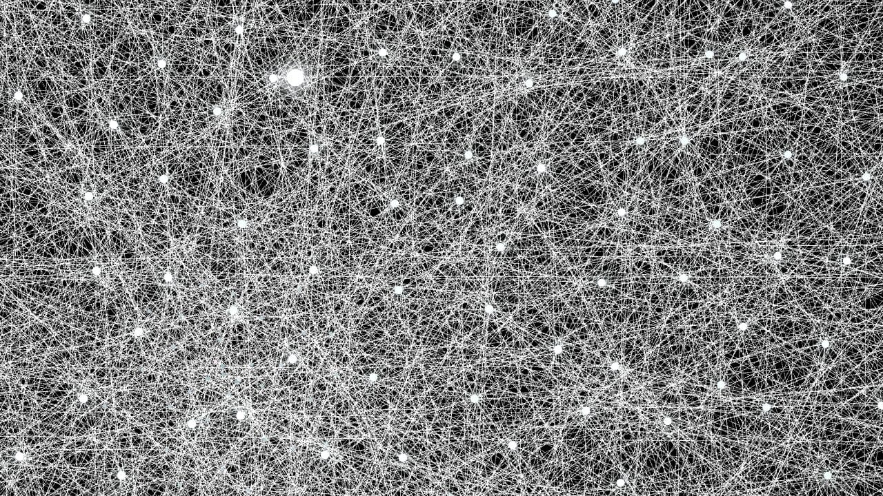 Branchial_foam